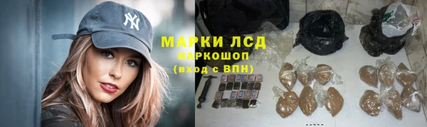 PSILOCYBIN Краснотурьинск