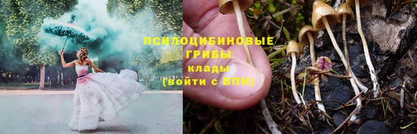 PSILOCYBIN Краснотурьинск